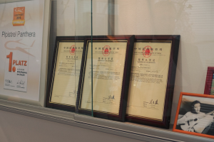 pipstrel certificates